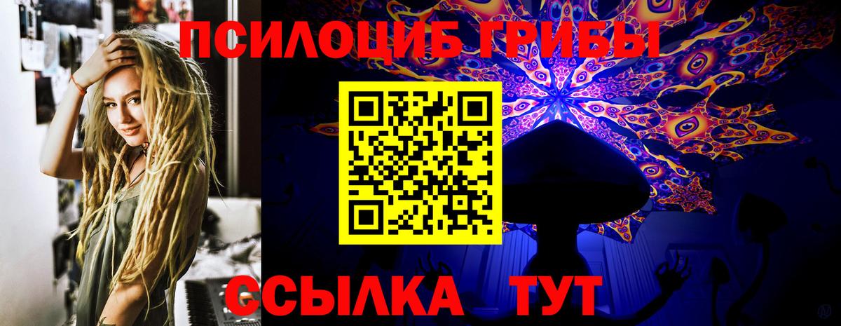 Псилоцибиновые грибы мицелий  Вход с VPN  Шебекино 