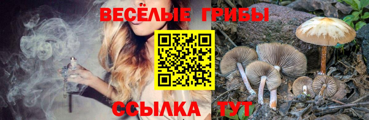 Псилоцибиновые грибы прущие грибы Шебекино
